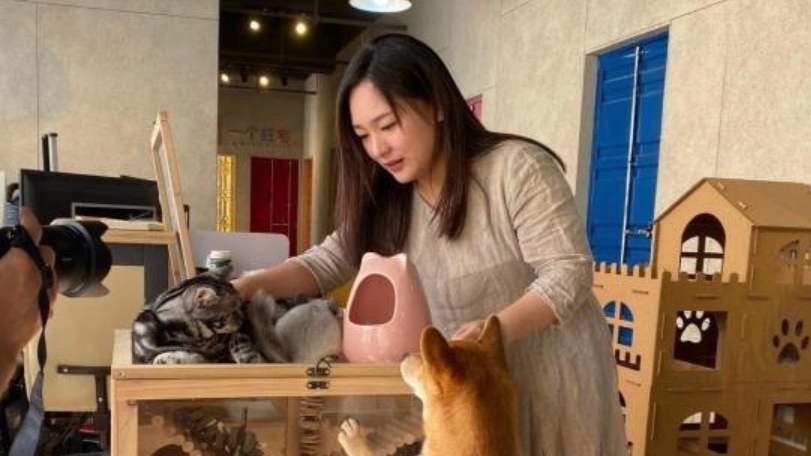 臺灣姑娘在大陸做“動物溝通師”