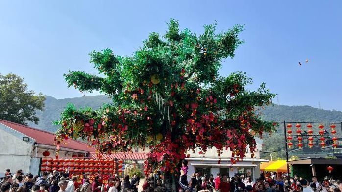 （新春见闻）香港大埔林村许愿树下多欢笑
