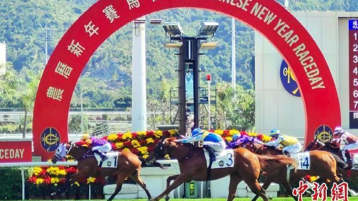（新春见闻）香港新春“马照跑”