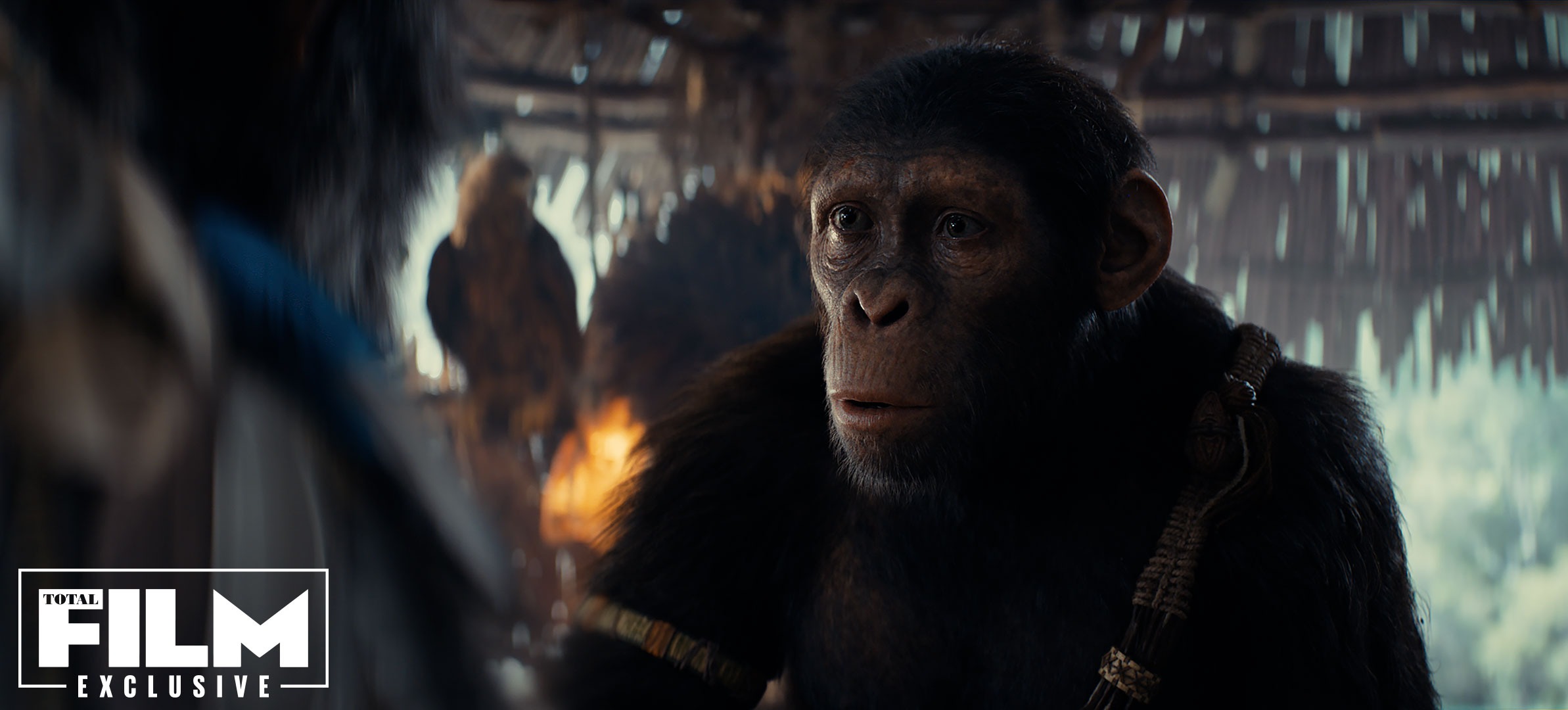 《猩球崛起4：新世界》新劇照 年輕猿猴自我尋找之路