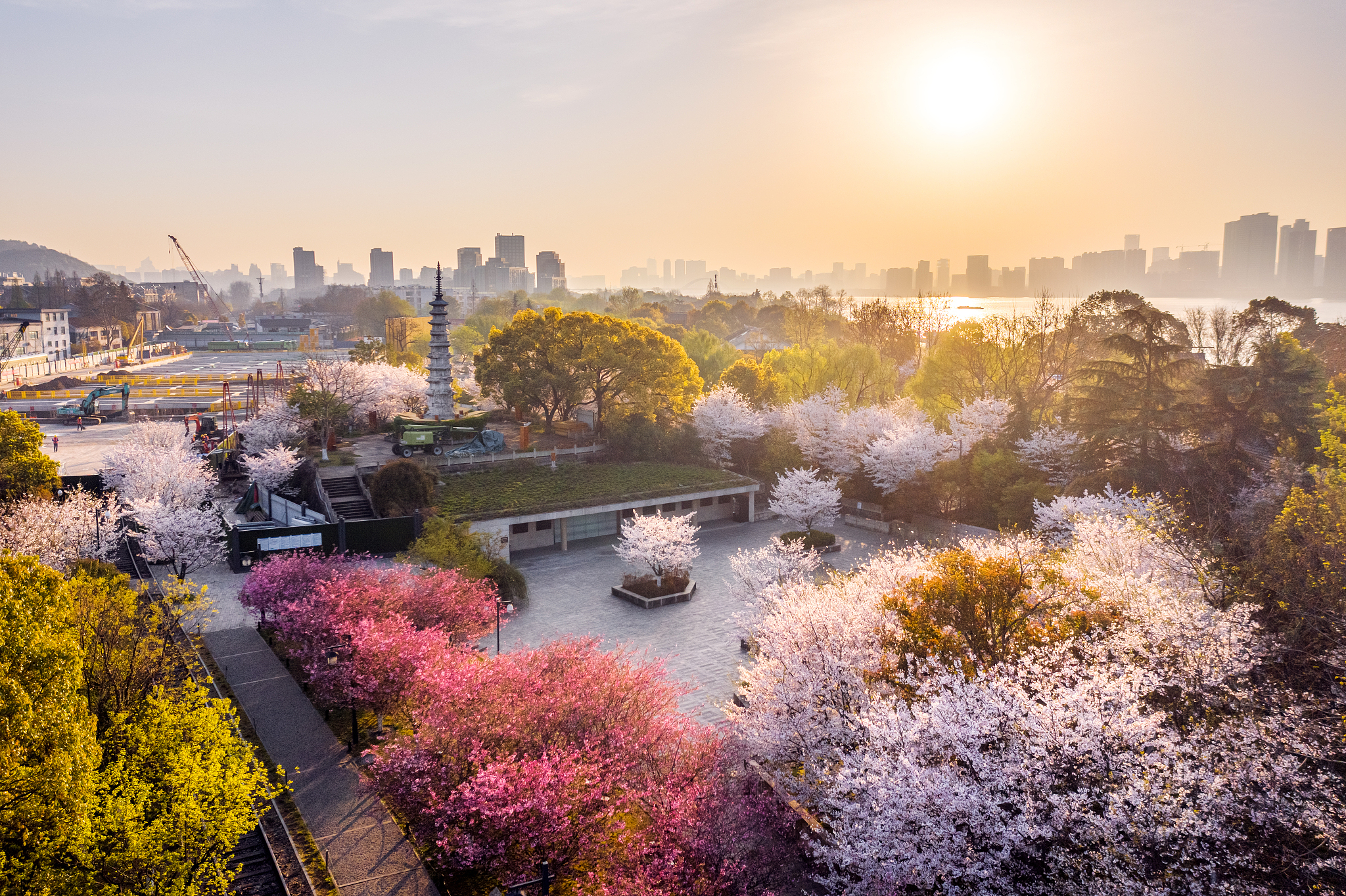 清明假期在即：假期機票、酒店搜索熱度全面超越2019年，海外日本人氣第一