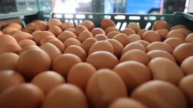 臺當局錯誤決策挨轟浪費，過期進口蛋剩220萬顆，後天將全數銷毀