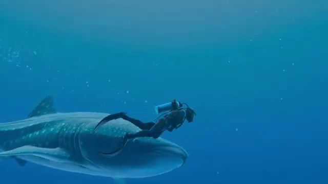 《永恒蔚藍：流光》“海洋之聲”預告 5月2日發售