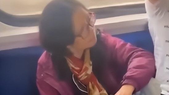 臺婦人自稱民進黨員火車上霸占座位，臺教師諷：天大地大，民進黨最大？
